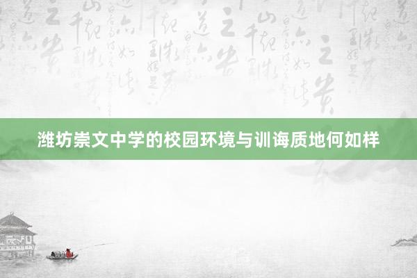 潍坊崇文中学的校园环境与训诲质地何如样