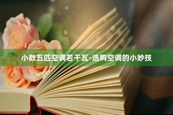 小数五匹空调若干瓦-选购空调的小妙技